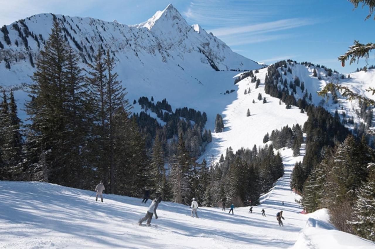Joli Studio 4 Pers 30M Des Pistes Balcon Plein Sud Au Pieds Des Pistes B27- Draps Non Compris Saint-Jean-dʼAulps 外观 照片